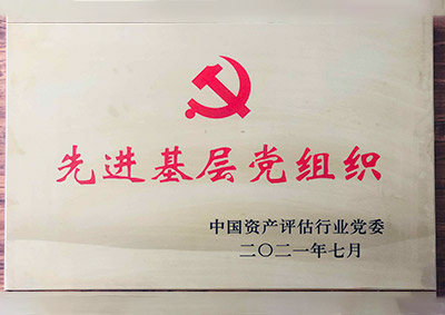 2021年榮獲中國(guó)資產(chǎn)評(píng)估行業(yè)黨委“先進(jìn)基層黨組織”.jpg